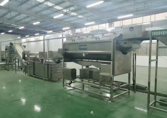 industrial mango  processing machine